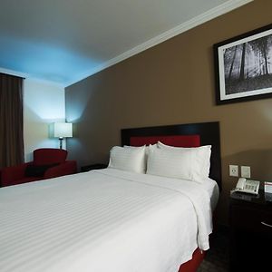 Habitación con Cama King